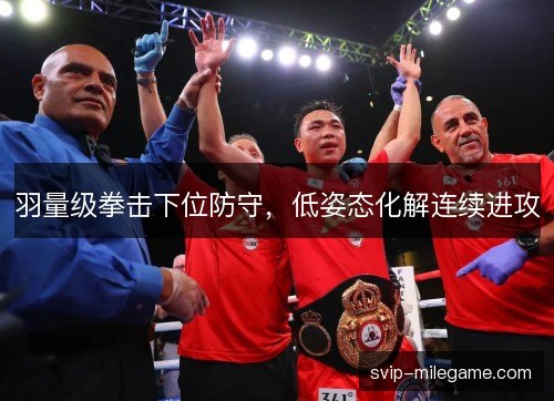 羽量级拳击下位防守，低姿态化解连续进攻